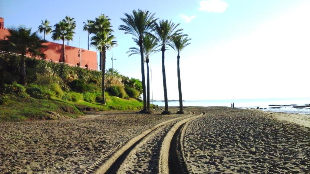 un camino de tierra en la playa con palmeras en Costa del Sol apartment, en Benalmádena