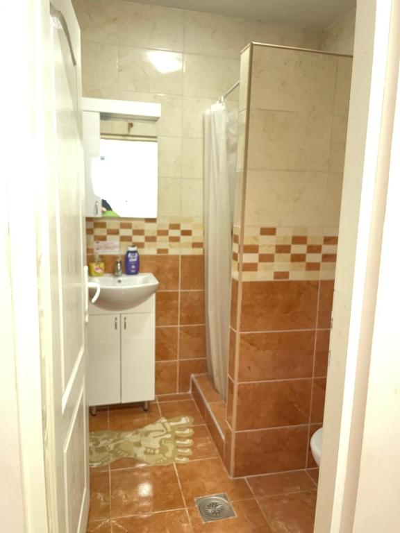 Koupelna v ubytování Apartmani Andrijana