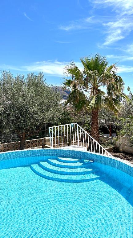 Una piscina azul con una palmera al fondo. en Villa Garriga, en Las Negras
