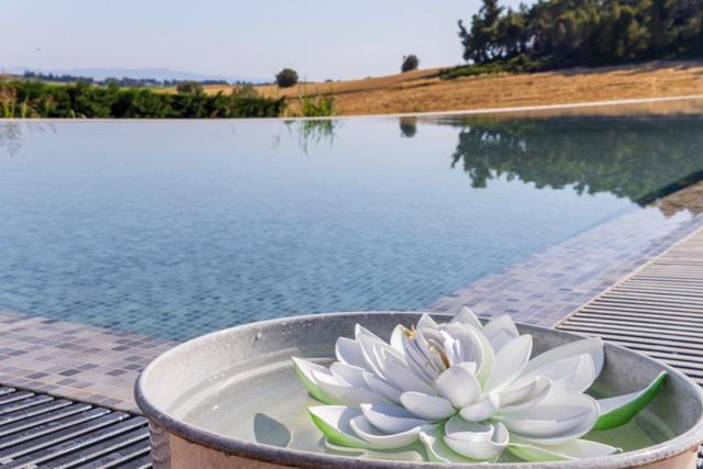 a flower in a pot next to a pool of water at Oikos Sani Suites in Sani Beach