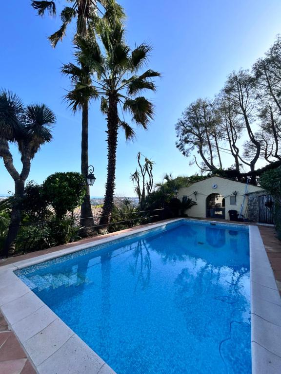 une piscine avec des palmiers et une maison dans l'établissement Mougins Village grand studio, avec piscine vue mer partagée, à Mougins