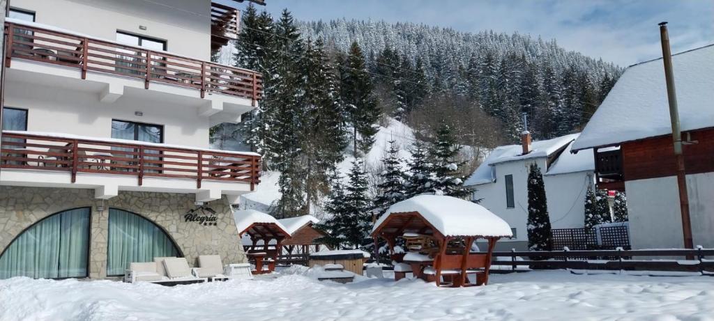 ALEGRIA - MOIECIU DE SUS v zimě