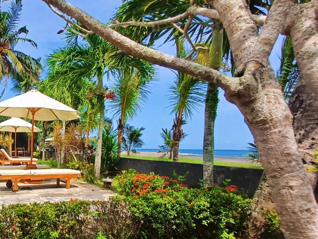 a view of the beach from the garden of a villa at Melaya beach resort 3 in Penginuman