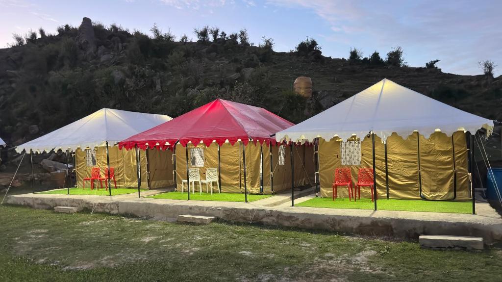 Gambar di galeri bagi Himalyan Wild Trails Premium Swiss Camp Prashar Lake di Mandi