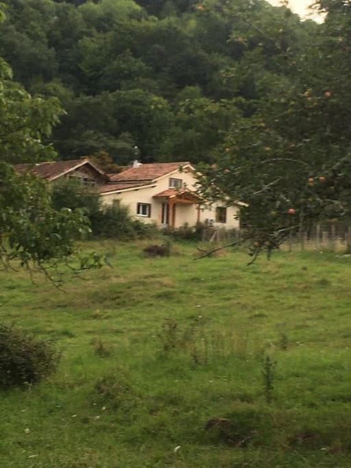 Příroda nedaleko prázdninového domu
