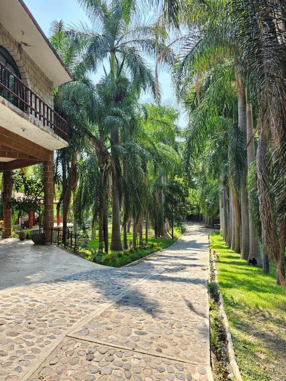 a road lined with palm trees next to a building at Finca Agua Salada in Xochitepec