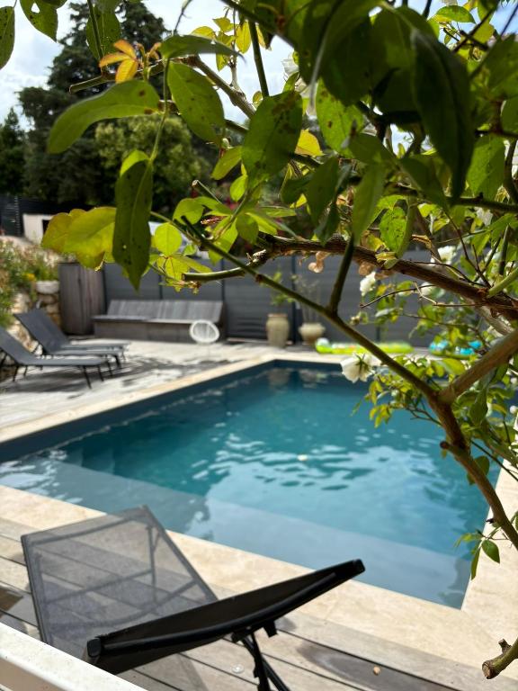 - une piscine avec une chaise à côté d'un arbre dans l'établissement Villa 3 chambres avec piscine privative, à Ajaccio