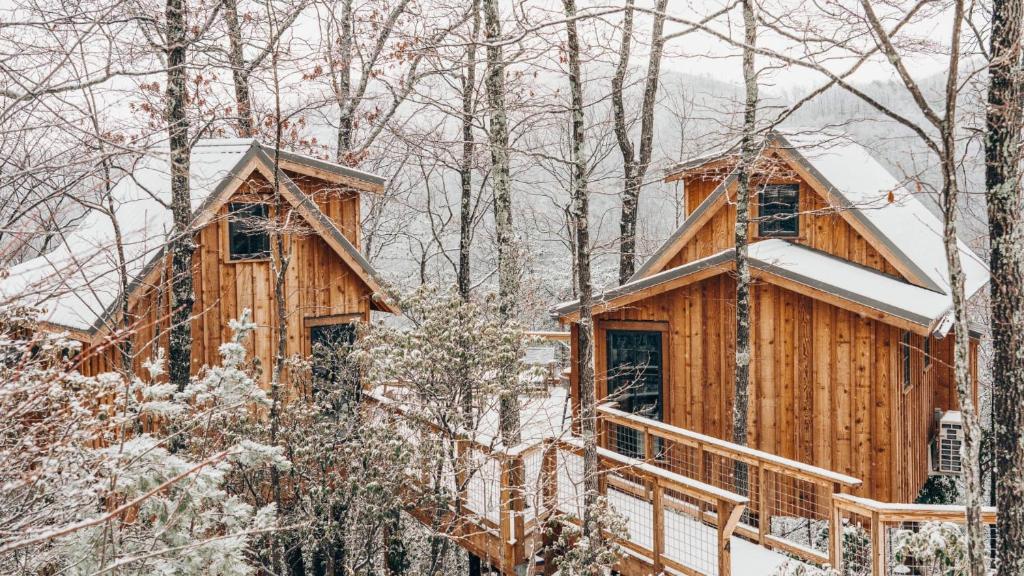 The Hickory in Treehouse Grove at Norton Creek om vinteren