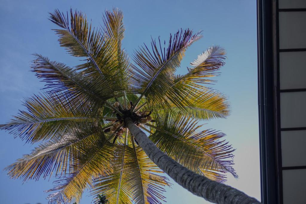 Fotografie z fotogalerie ubytování Bunkalow v destinaci Kandy