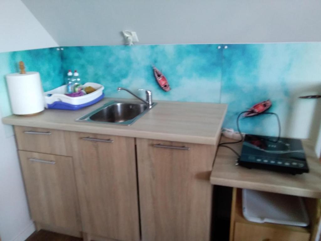 Kuchyň nebo kuchyňský kout v ubytování Pokoje Morska