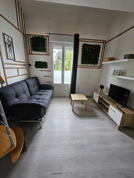un salon avec un canapé et une télévision dans l'établissement Le Duplex Vercingétorix proche Paris et Disney, à Champigny-sur-Marne
