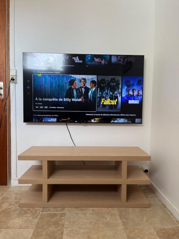 TV a/nebo společenská místnost v ubytování Villa PAULINE