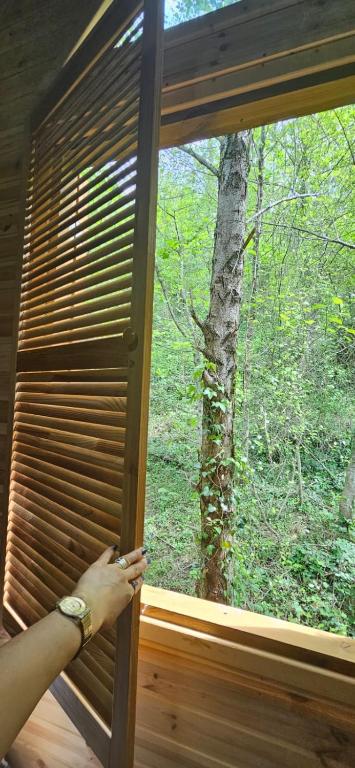 Fotografie z fotogalerie ubytování Cottage lima v destinaci Kutaisi