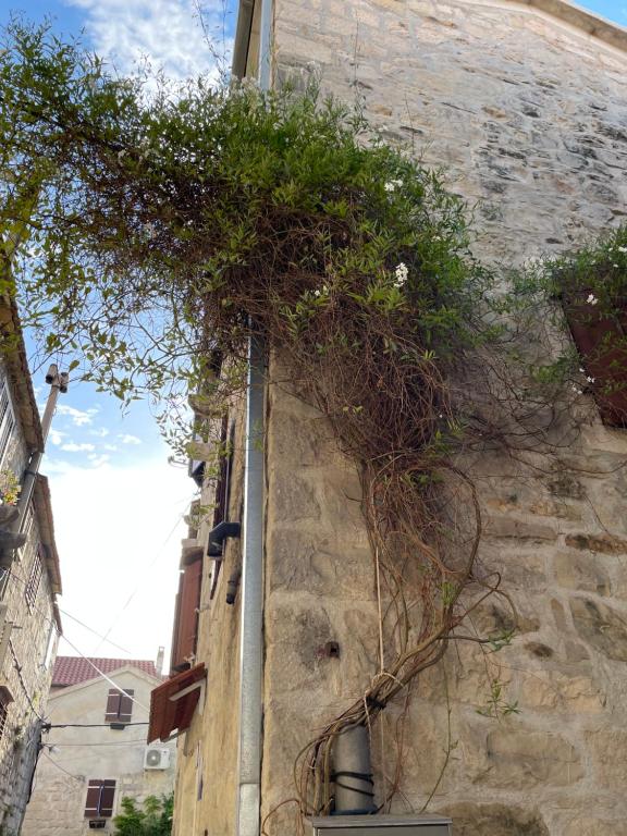 Fotografia z galérie ubytovania Apartman Pundinica v destinácii Kaštela