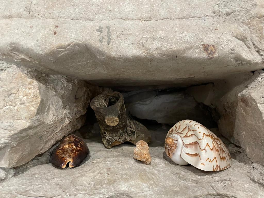 Fotografia z galérie ubytovania Apartman Pundinica v destinácii Kaštela