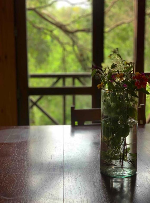 Cabañas en Reserva Privada Bahía Santa Ana - Familiekamer