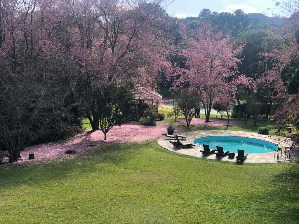 une vue aérienne d'une piscine dans un parc dans l'établissement Ninho dos Pássaros Chalés, à Monte Verde