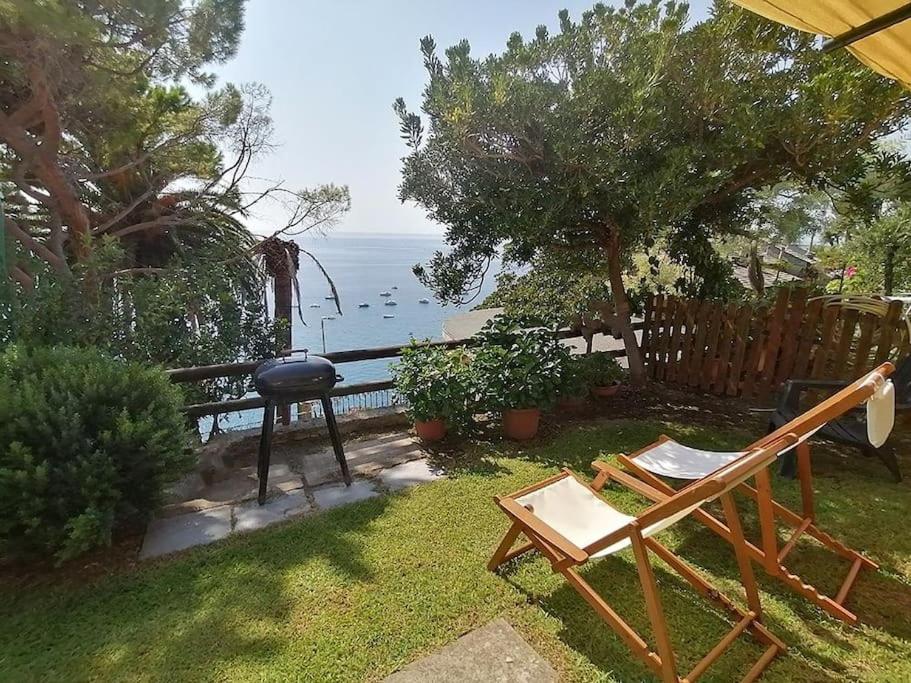 Φυσικό τοπίο κοντά σε αυτό το διαμέρισμα