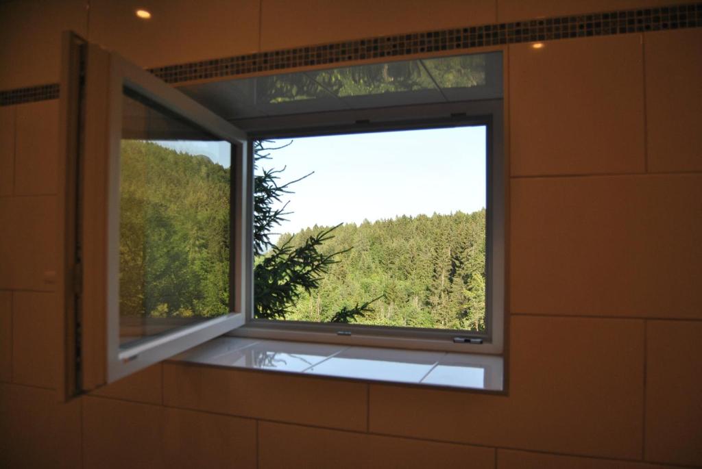 Nespecifikovaný výhled na hory nebo výhled na hory při pohledu z apartmánu