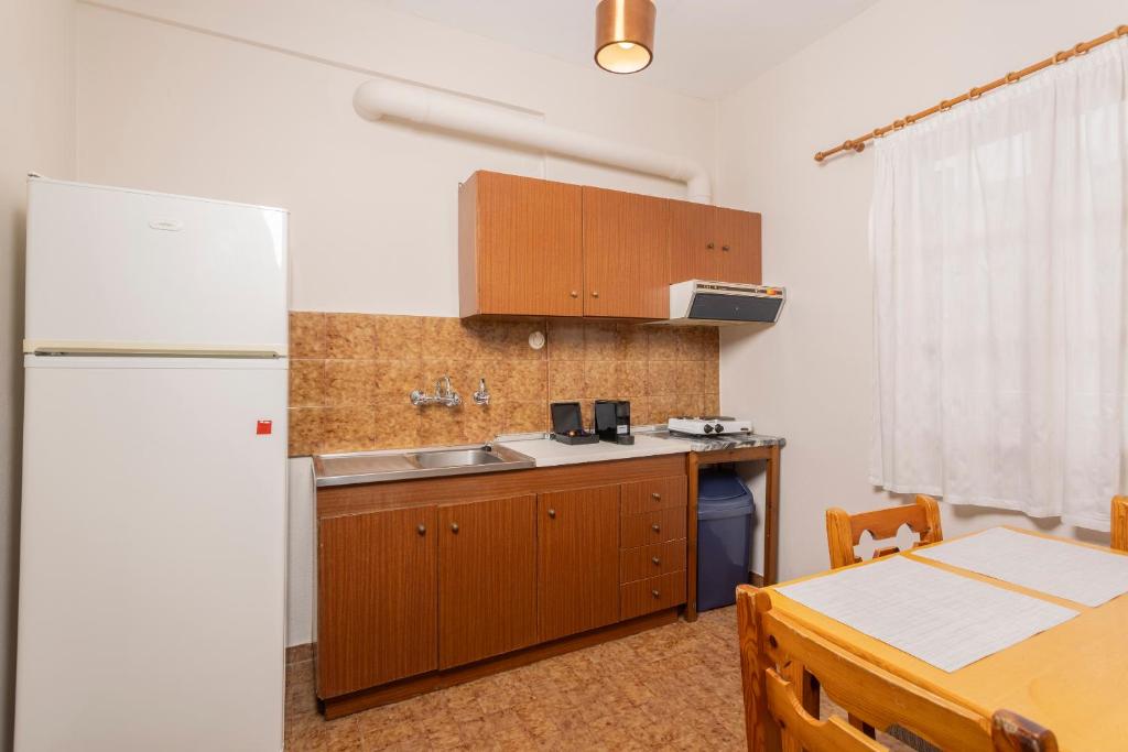 Kuchyň nebo kuchyňský kout v ubytování Sea View Apollo Apartments & Studios in Afytos