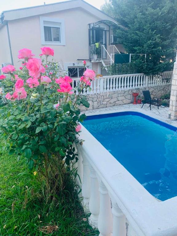 a swimming pool with pink flowers next to a house at Imperia in Bar