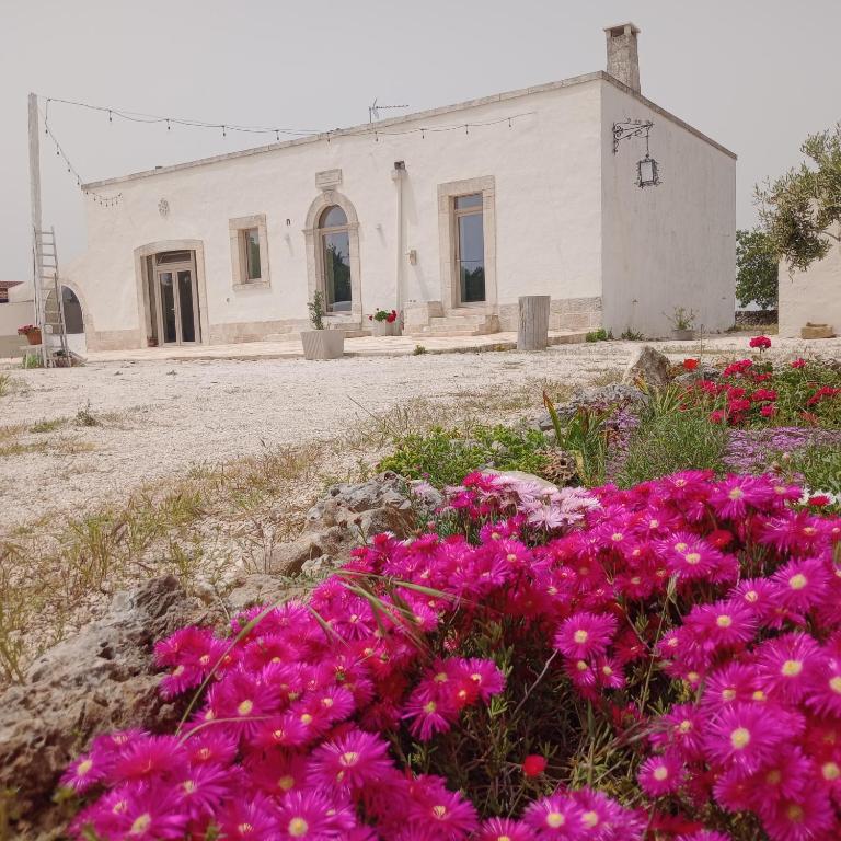 a building with pink flowers in front of it at Villa Nuova 1924 in Mottola