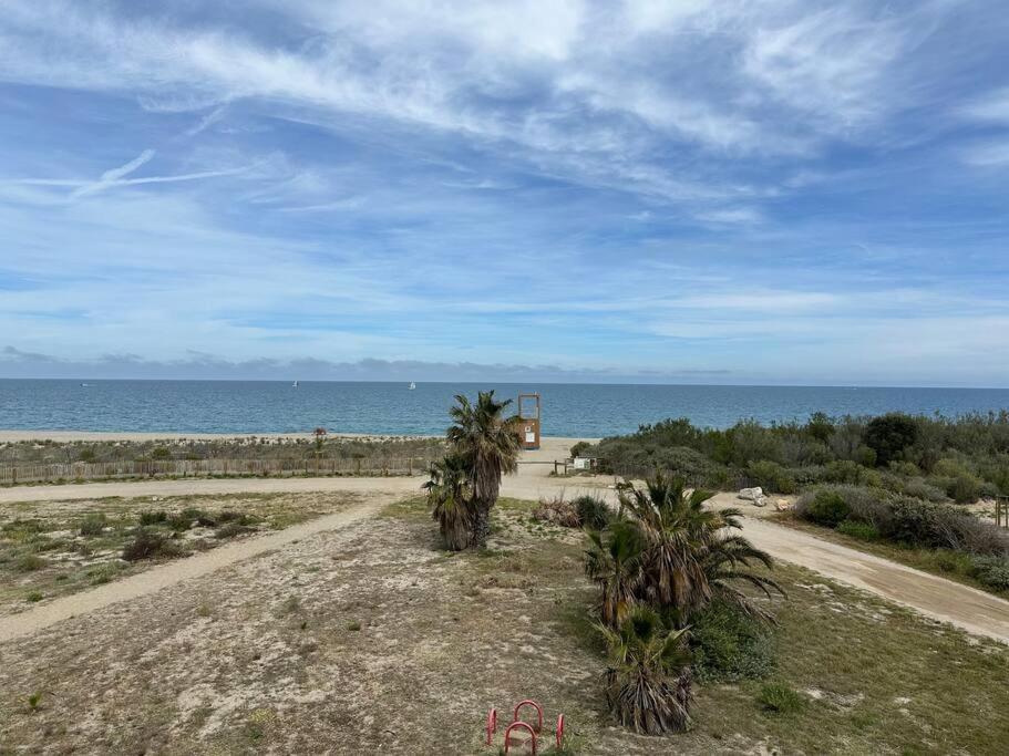 un chemin de terre bordé de palmiers à côté de l'océan dans l'établissement Appartement front de mer avec piscine et accès direct plage à St Cyprien, à Saint-Cyprien