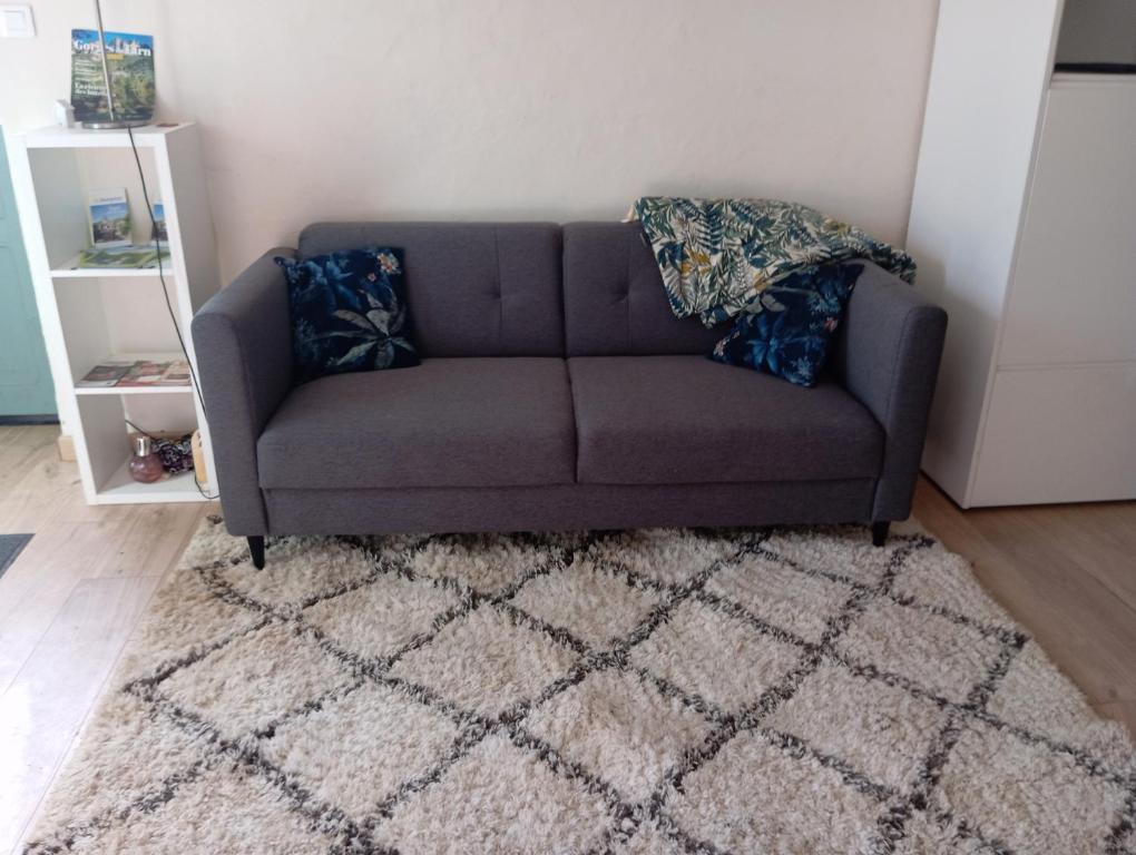 Posezení v ubytování appartement hôtes entier Millau Compeyre