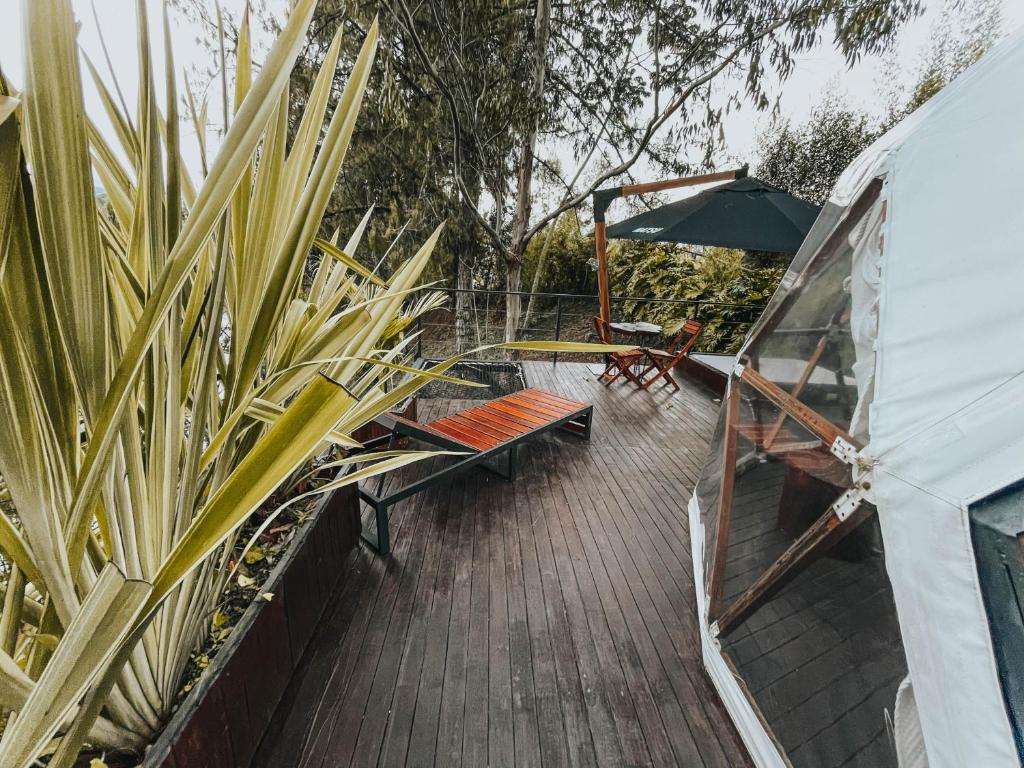 Zahrada ubytování Domus Glamping Guatapé