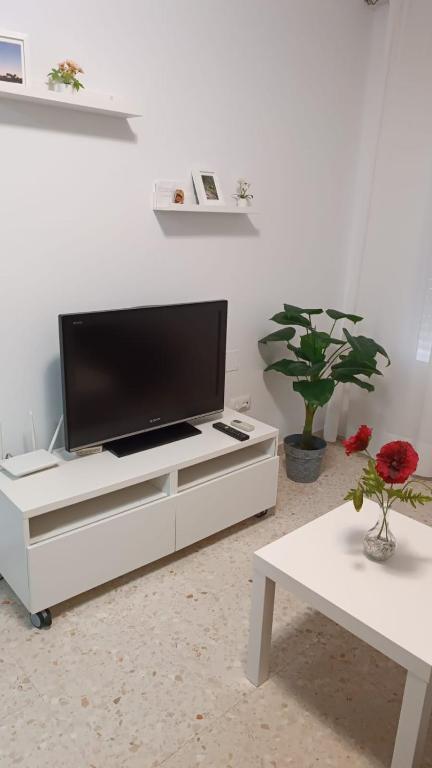Televízia a/alebo spoločenská miestnosť v ubytovaní APARTAMENTO EN AVDA. QUINTO CENTENARIO