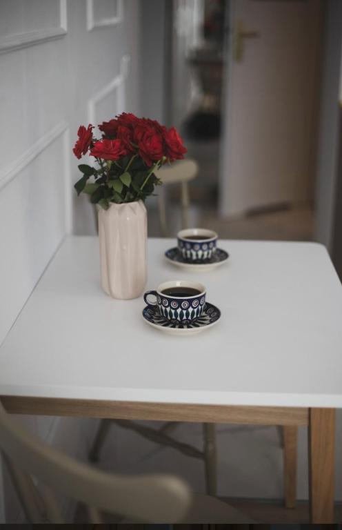 Dan Apartament, Self check-in - 5