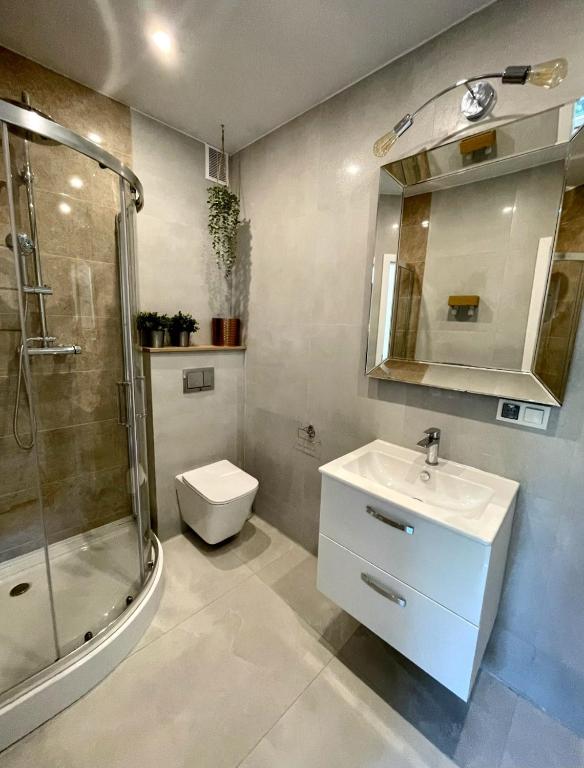 Dan Apartament, Self check-in - 17