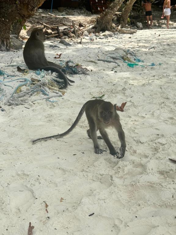 Hack Patong Beach Hotel - Resim 26