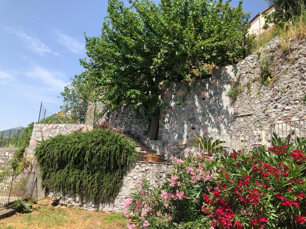 Zahrada ubytování Un Capriccio-Sambuco