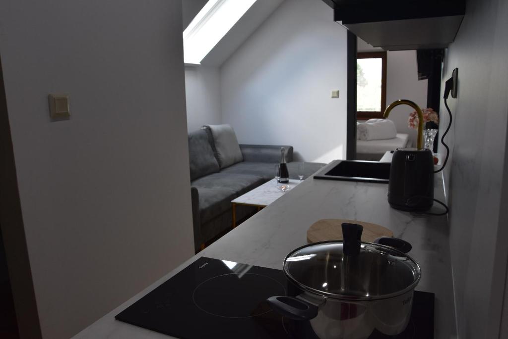 Posezení v ubytování Apartmány Žakovce & SPA
