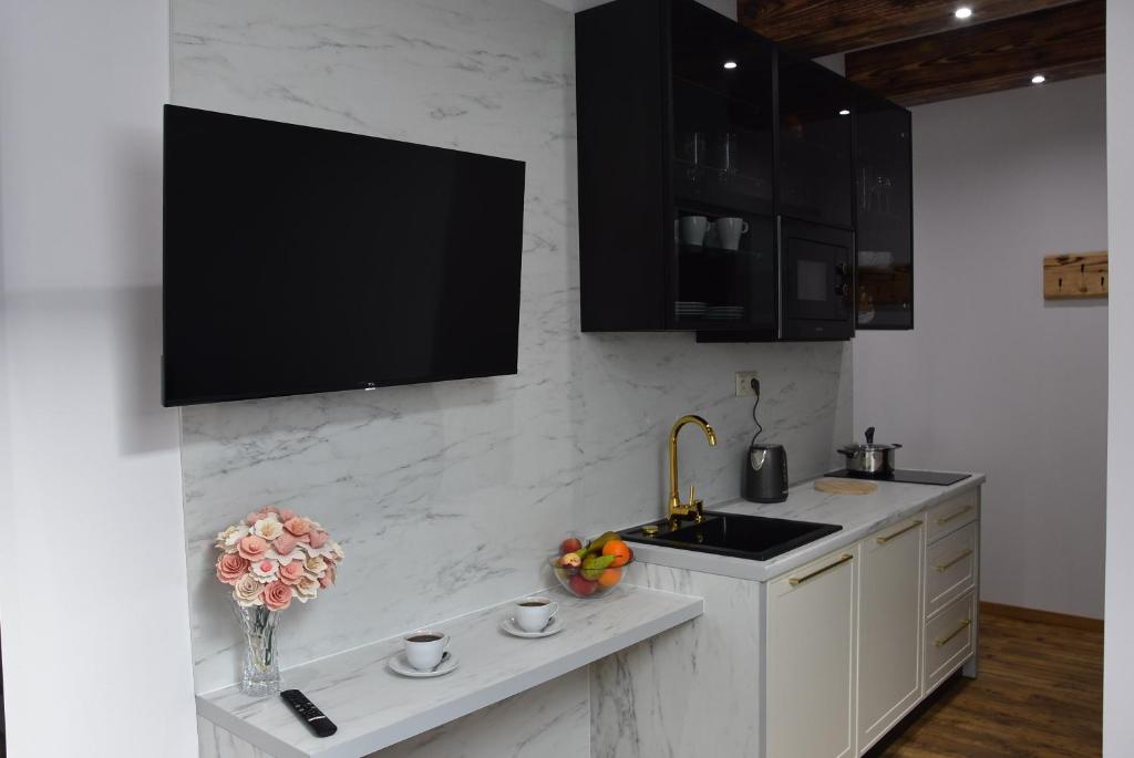 Kuchyň nebo kuchyňský kout v ubytování Apartmány Žakovce & SPA