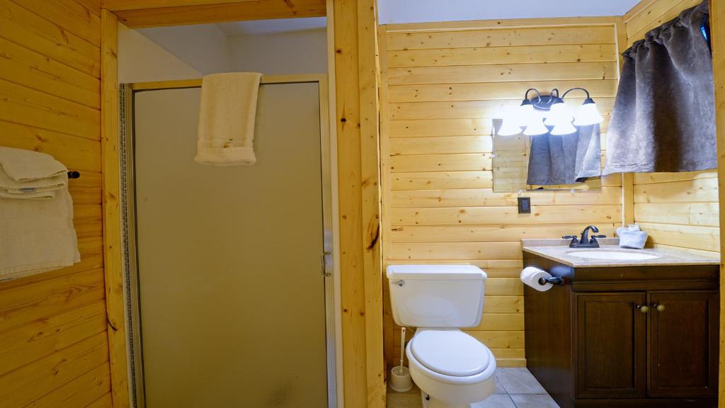 a bathroom with a toilet and a sink at Arrowhead 09 in Red River