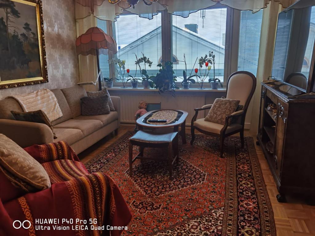 ピエクサマキにあるKauppatoriのソファとテーブルのあるリビングルーム