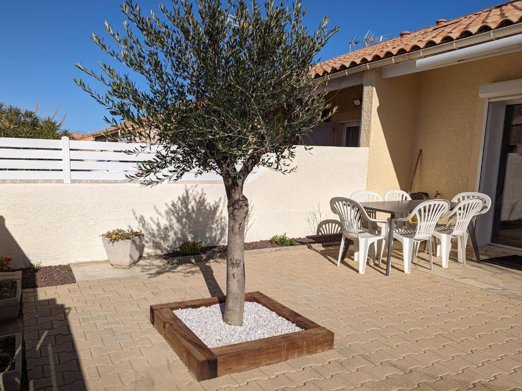 un arbre planté de chaises et d'une table dans l'établissement Villa T2 mezz. climatisée pour 6 pers avec WiFi, parking & proche plage - FR-1-797-43, à Port-la-Nouvelle