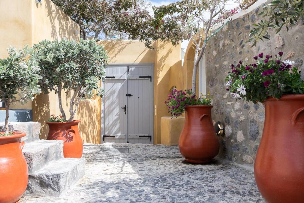 Zahrada ubytování Cortile delle Stelle