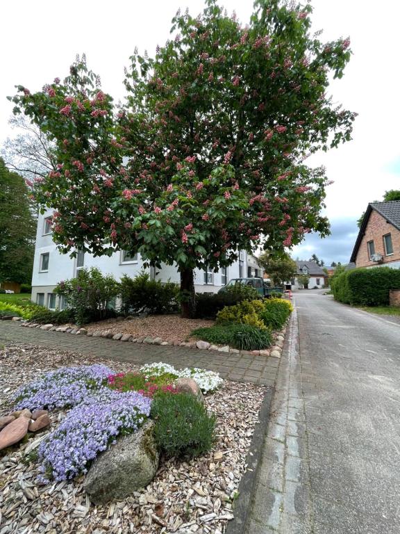 Zahrada ubytování Hotel Luther Birke Wittenberg