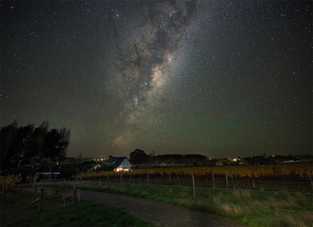 The Savvy Retreat - vineyard views - Resim 12