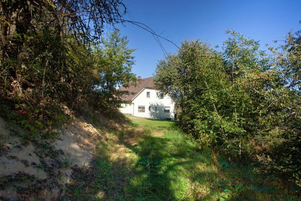 Příroda nedaleko apartmánu