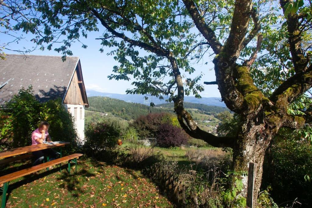 Příroda nedaleko apartmánu