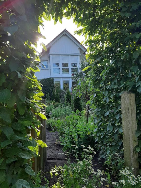 a garden through a hedge with a house in the background at Ferienwohnung an den Leinewiesen in Schwarmstedt