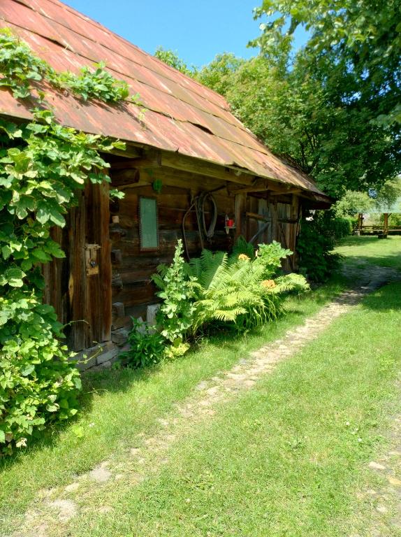 Zahrada ubytování Dom Słoneczko pokoje do wynajęcia w Białowieży
