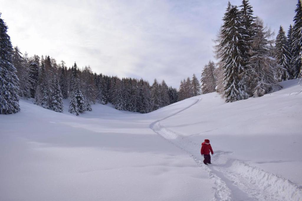 Gasthof Schmiederalm v zimě