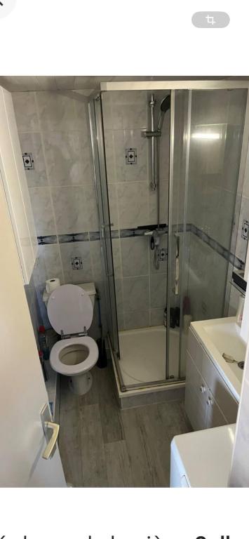 une salle de bain avec une douche, des toilettes et un lavabo dans l'établissement Cosystcyp, à Saint-Cyprien