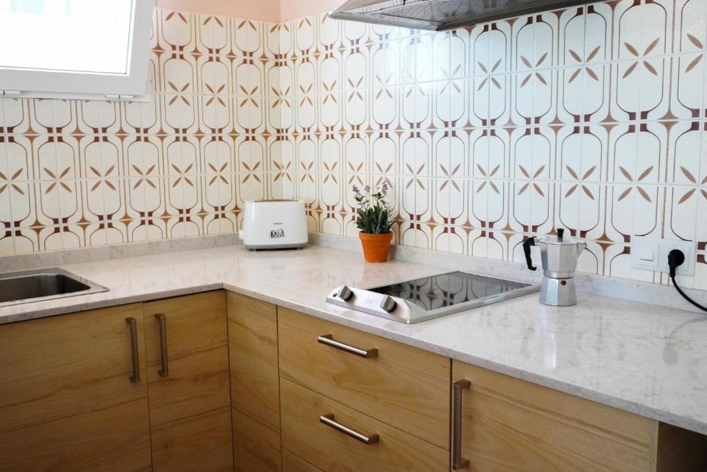 Kuchyň nebo kuchyňský kout v ubytování Typic Sandic Apartments