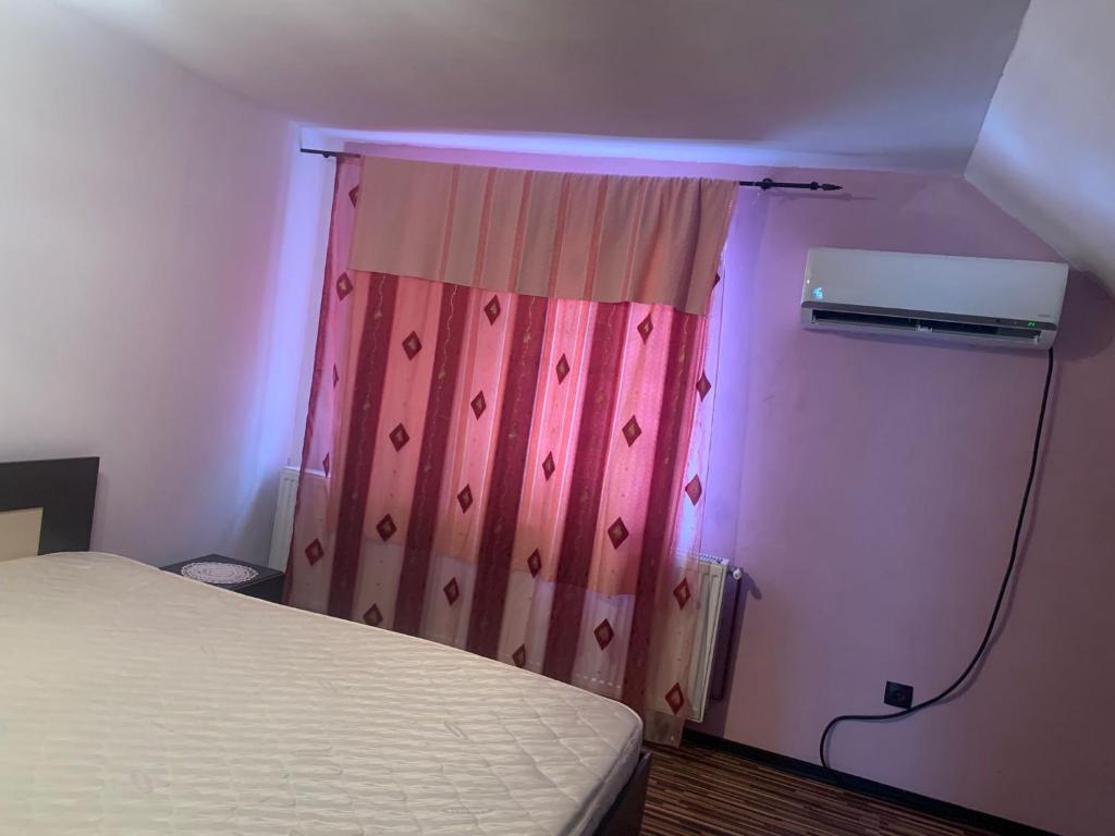 Postel nebo postele na pokoji v ubytování Vila Siminica